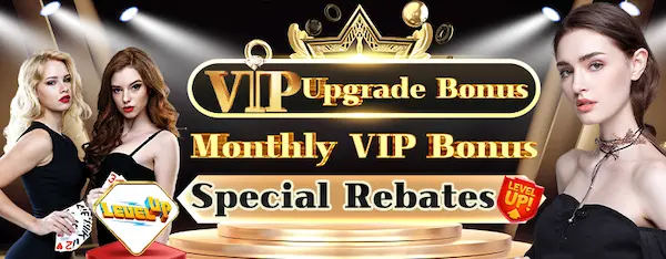 bdg game vip upgrade bonus